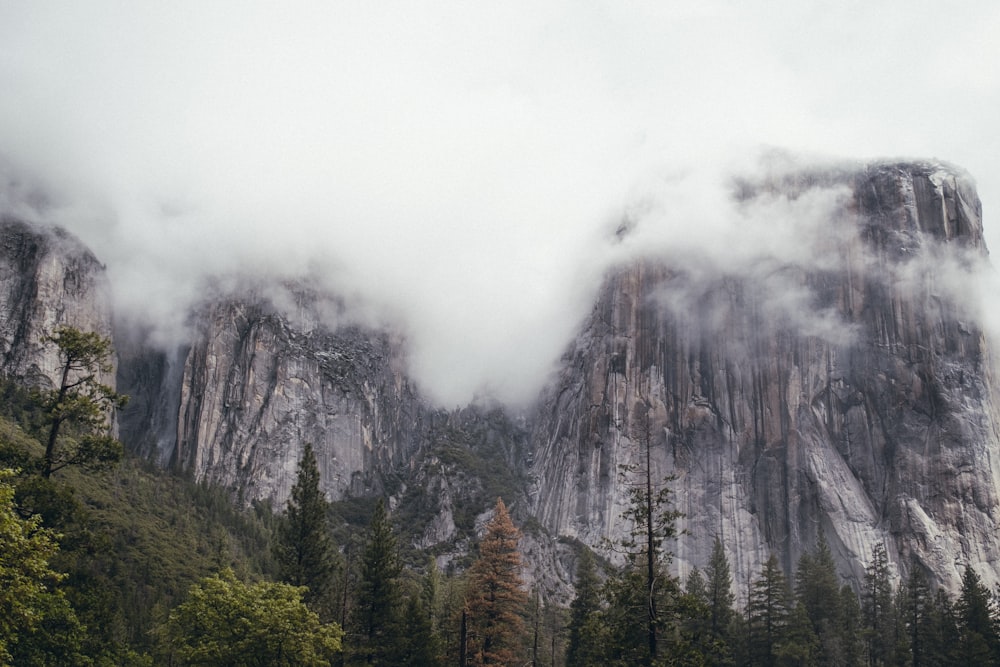 mountain covered with clouds during daytime