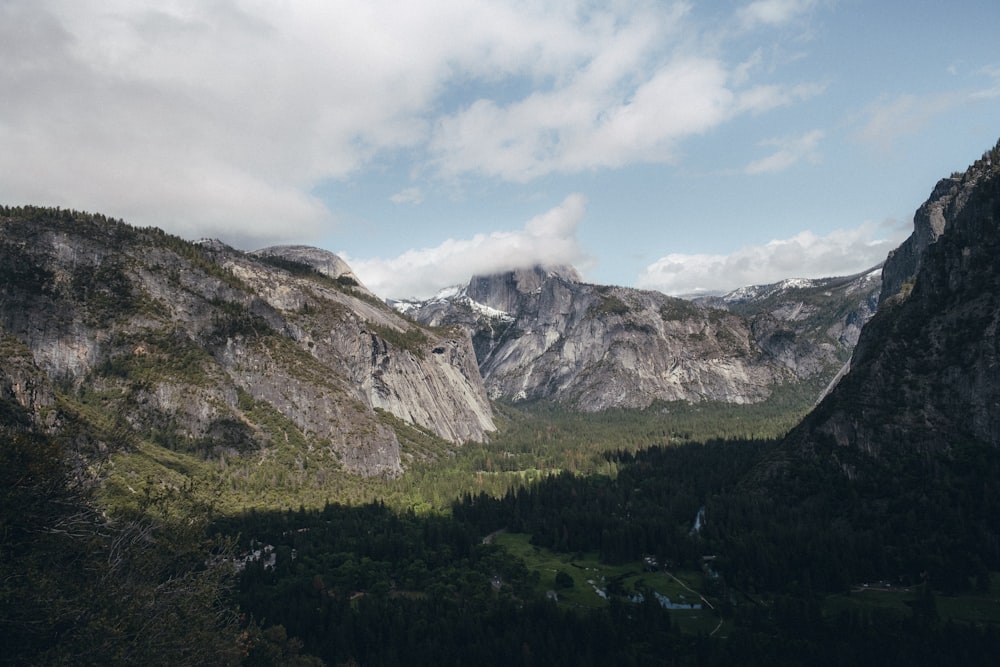 landscape photography of mountain surrounded with trees