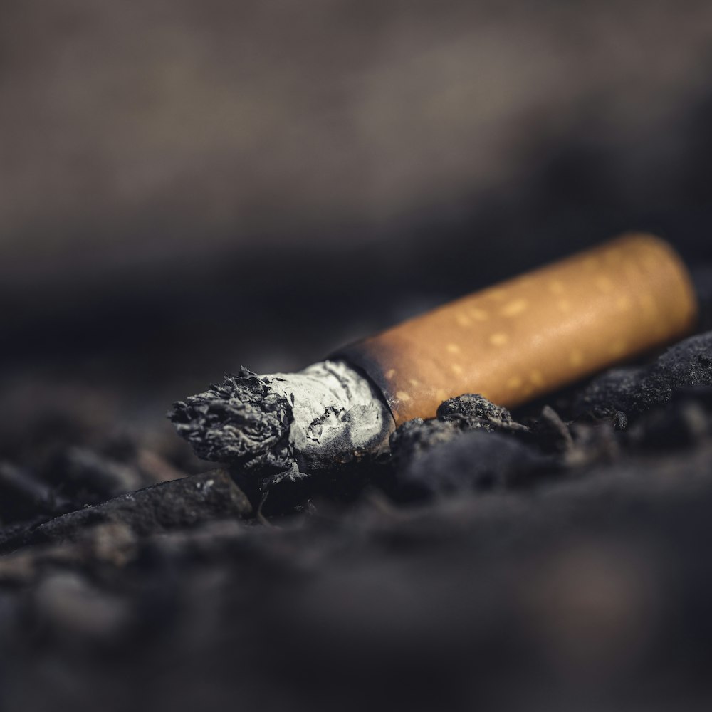 closeup photo of cigarette butt