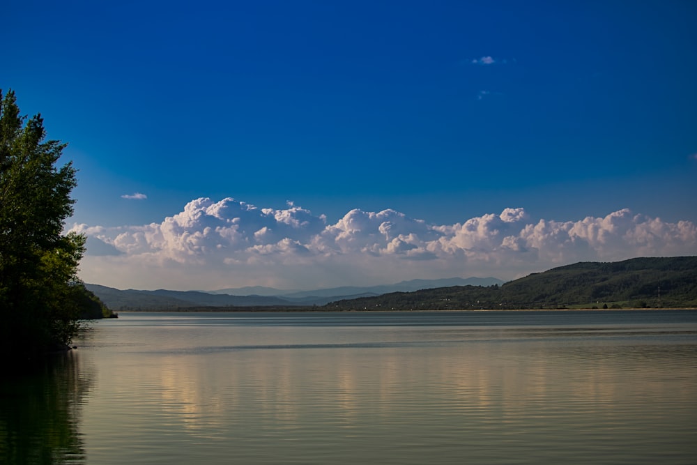 body of water during daytime