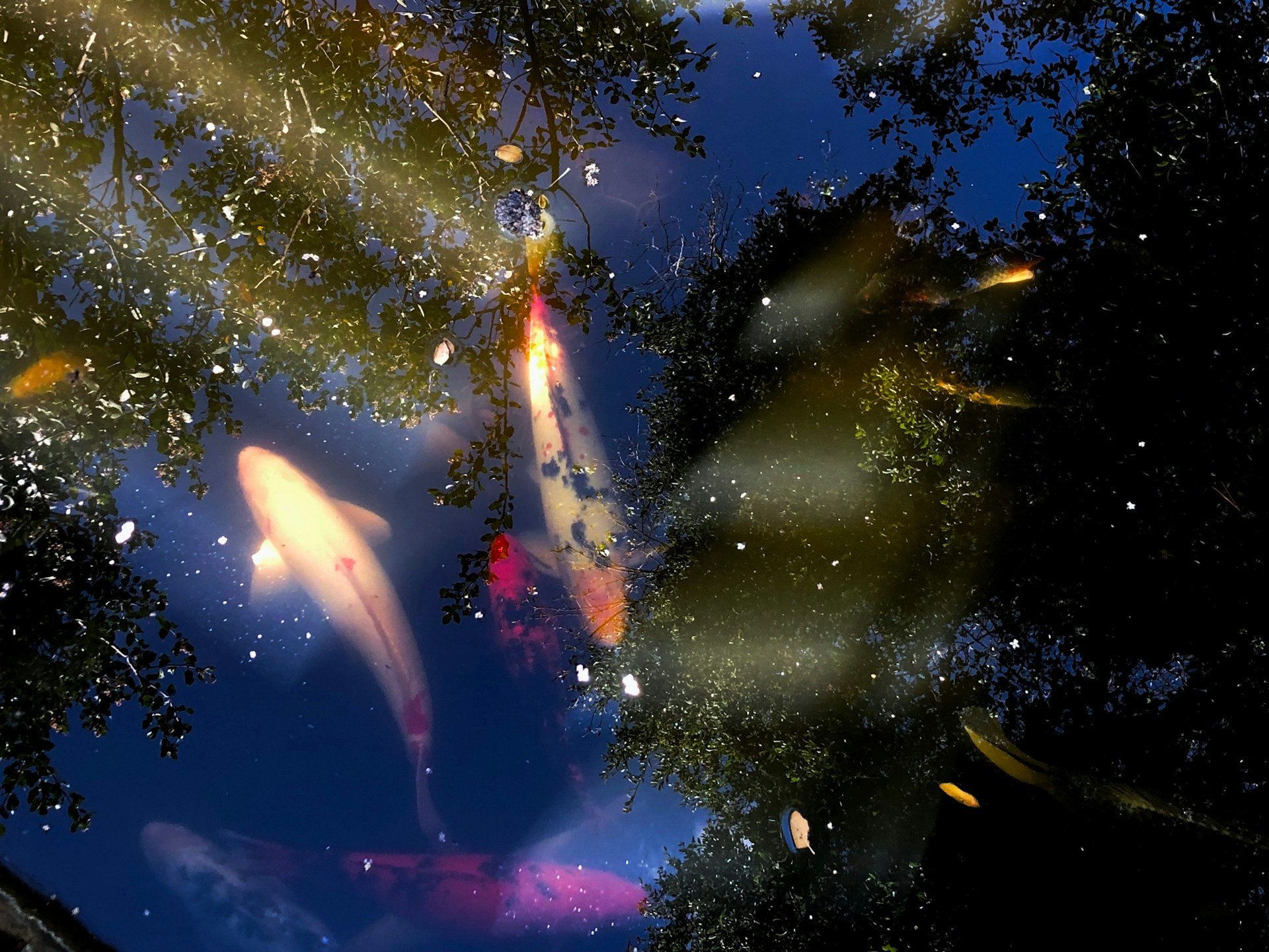 gray computer monitor