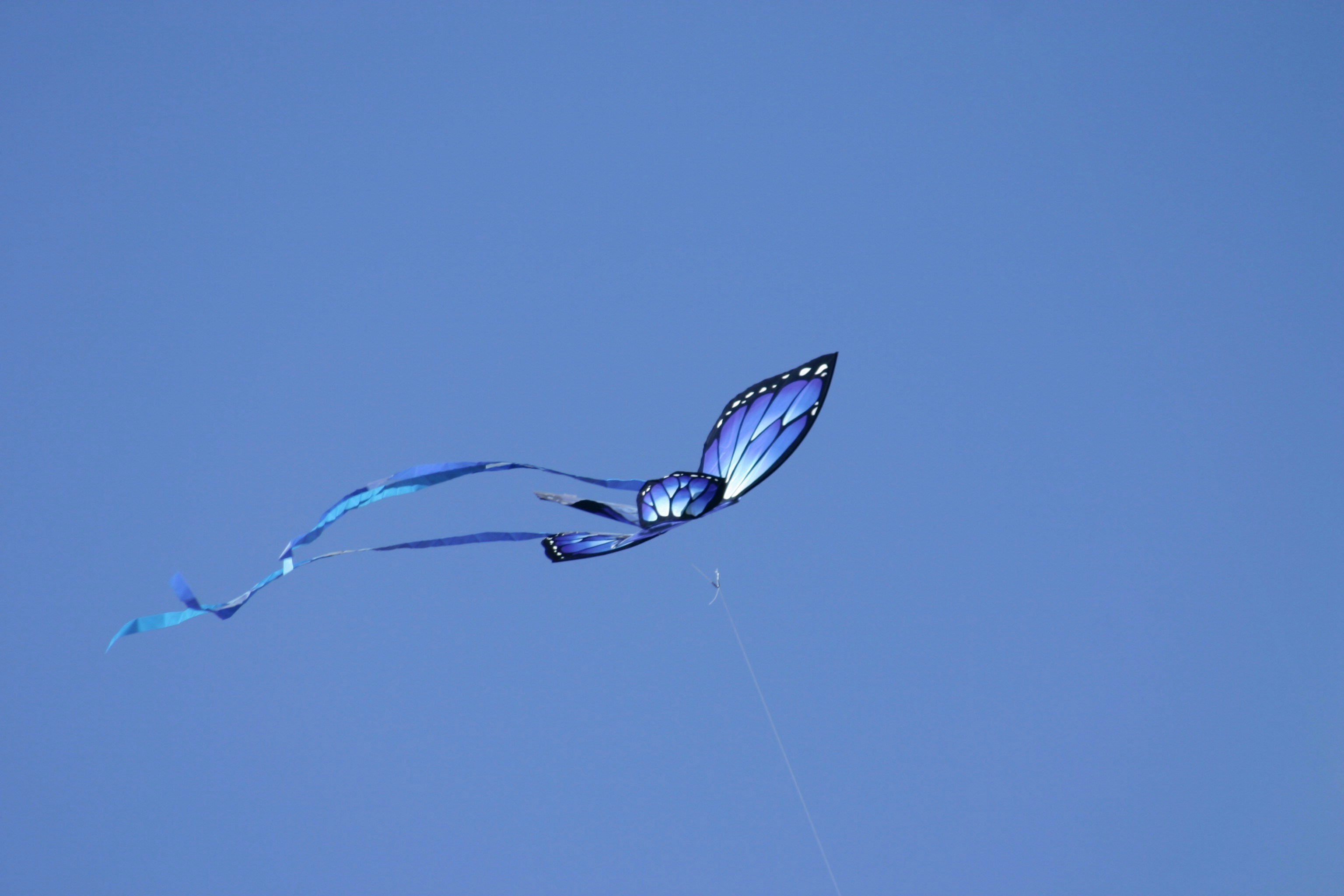 सपनों भरी उड़ान