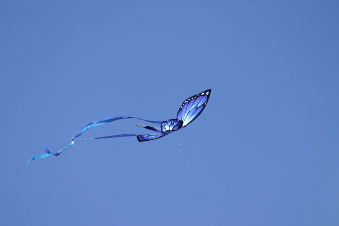 blue butterfly in flight
