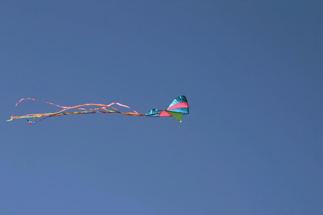 green and red kite,
