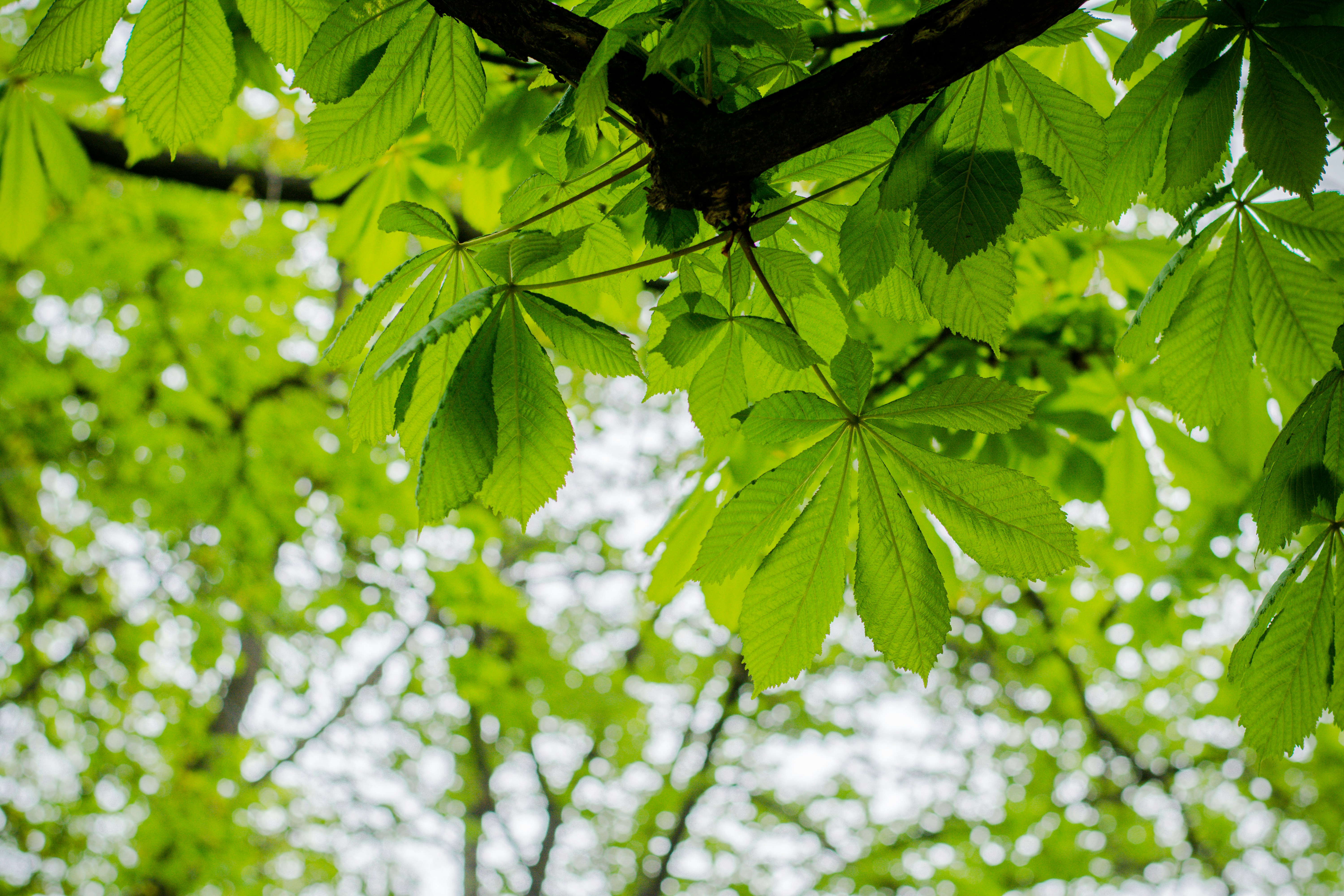 Photo by eugenivy_now