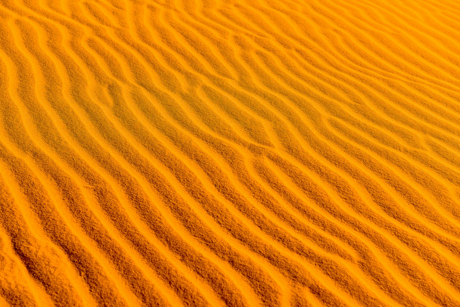 Nikon D810 sample photo. High-angle photography of desert photography