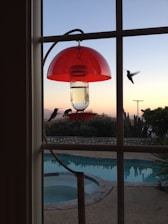 Rosetta and Maverick happily watching hummingbirds at their backyard feeder.