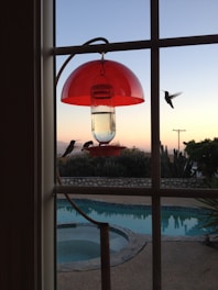 Rosetta and Maverick happily feeding hummingbirds in their backyard garden on a sunny day.