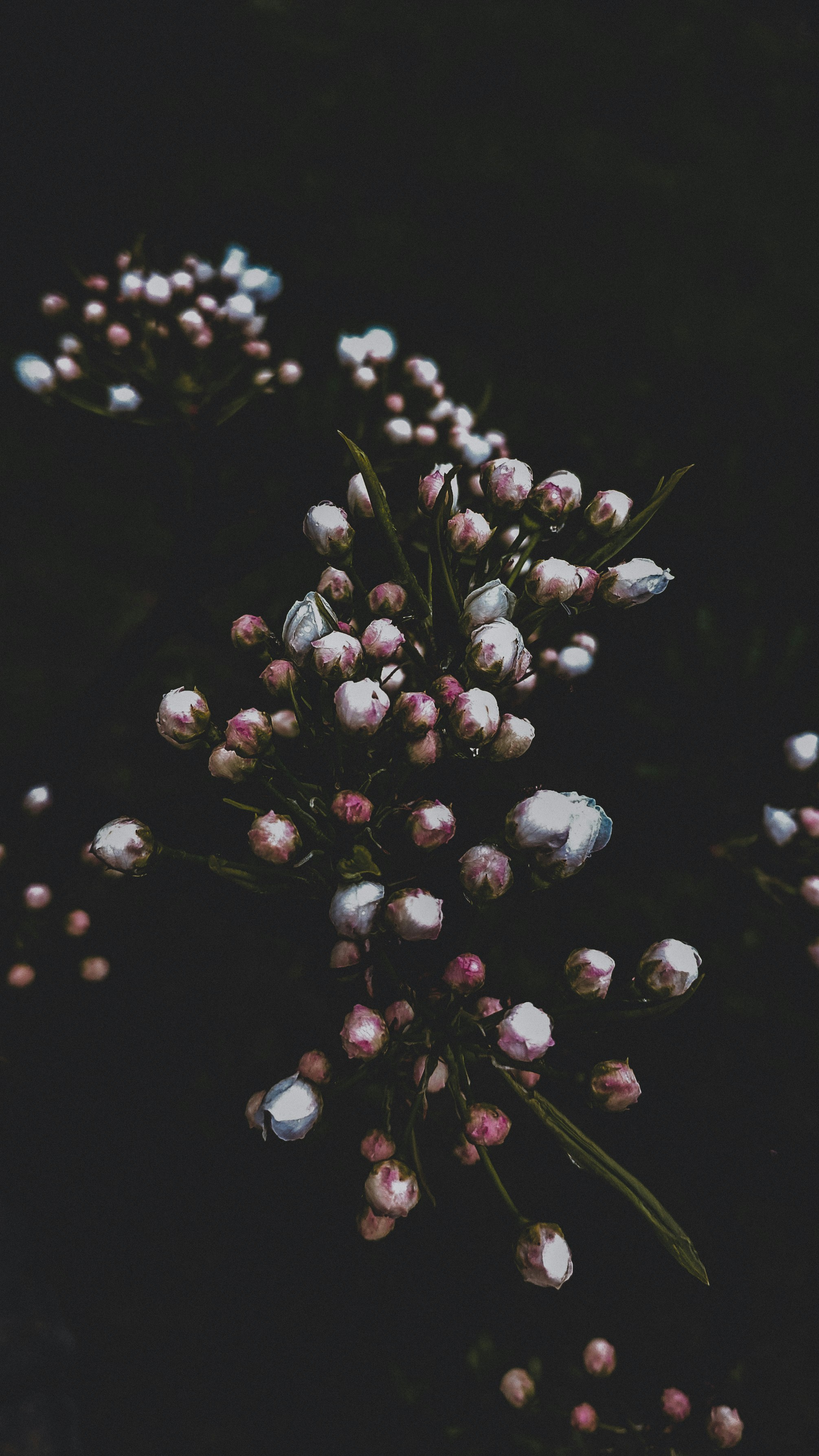 Photo by haris_haque