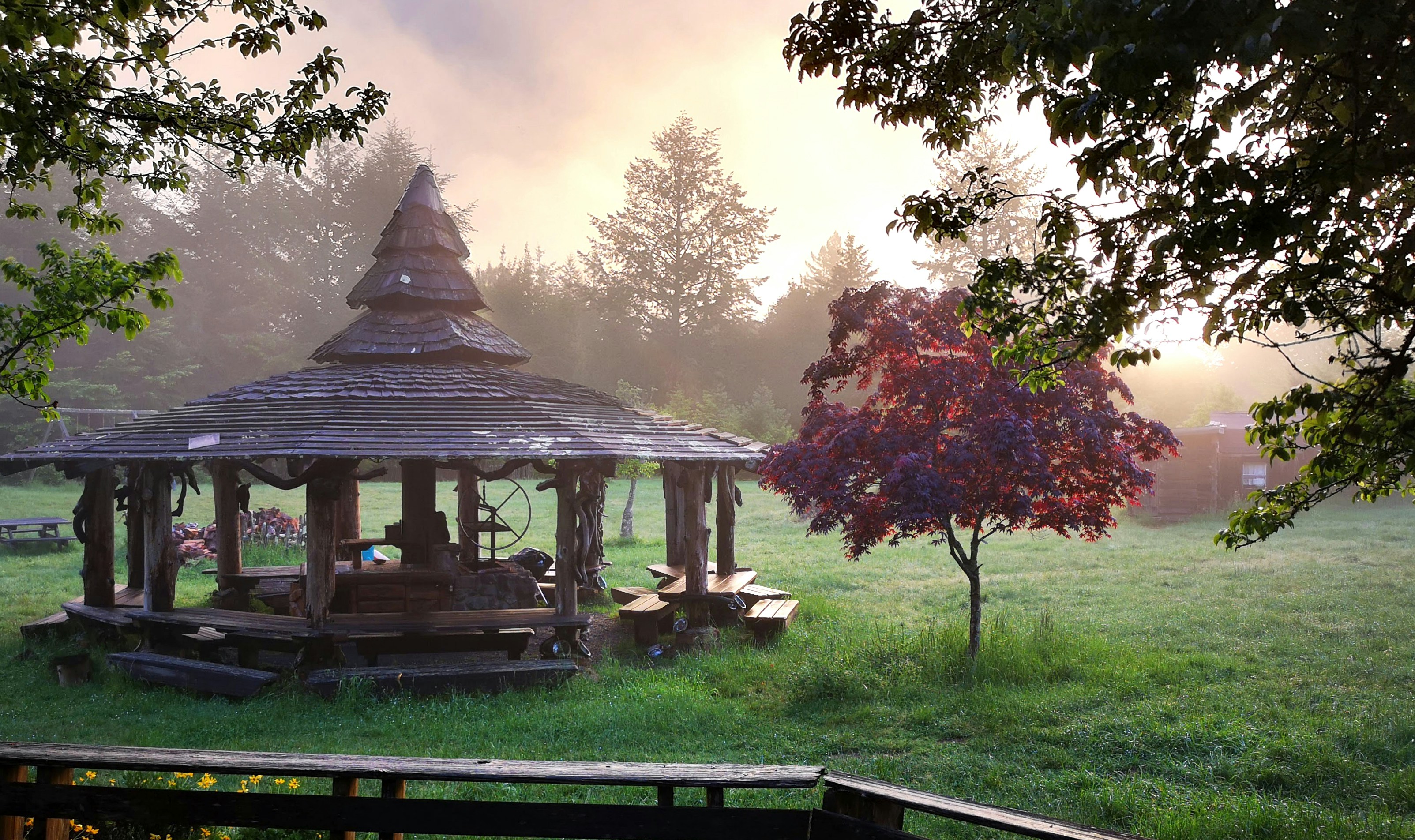 Photo by graeme_morris