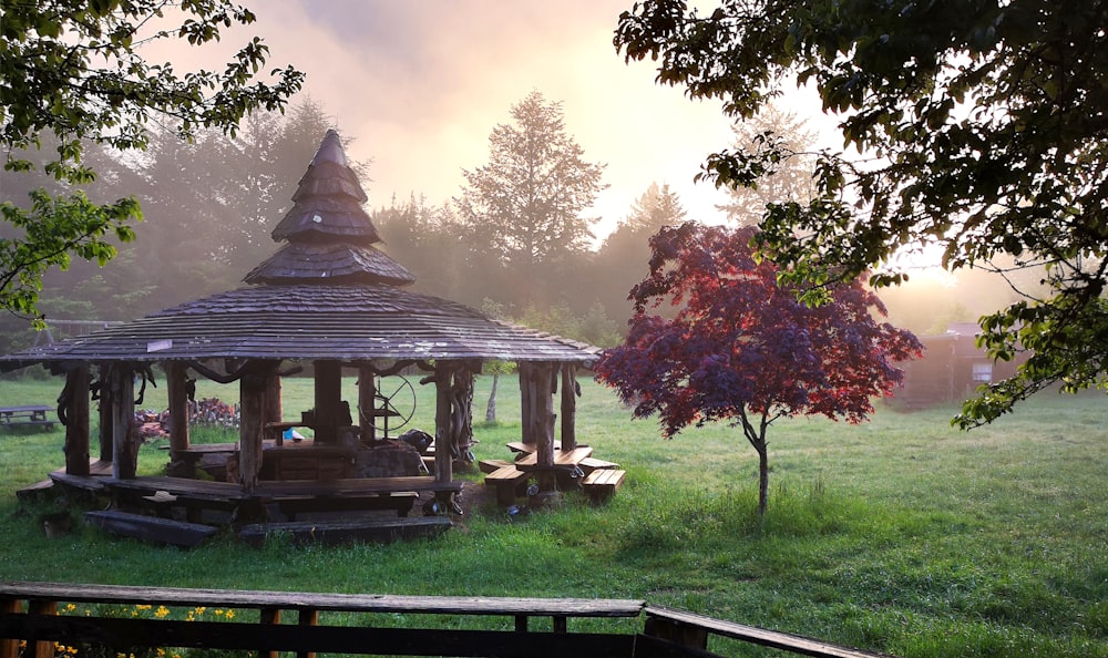 gray and brown gazebo surrounded by trees