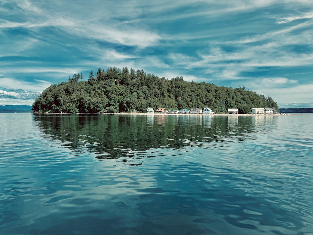 body of water near trees during daytime