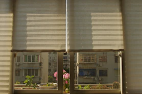white window blinds