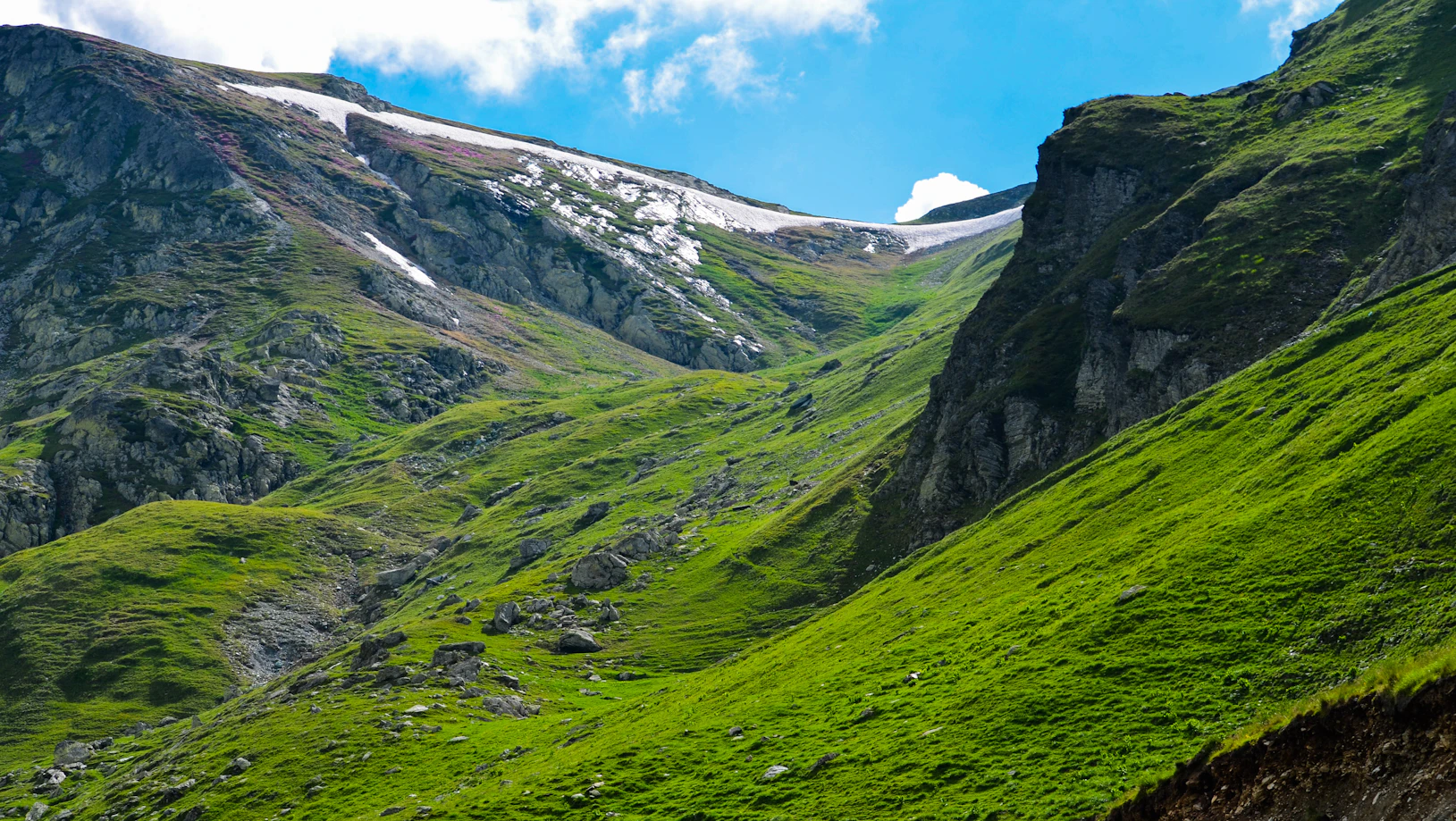 Stunning green alpine meadows and snow capped peaks