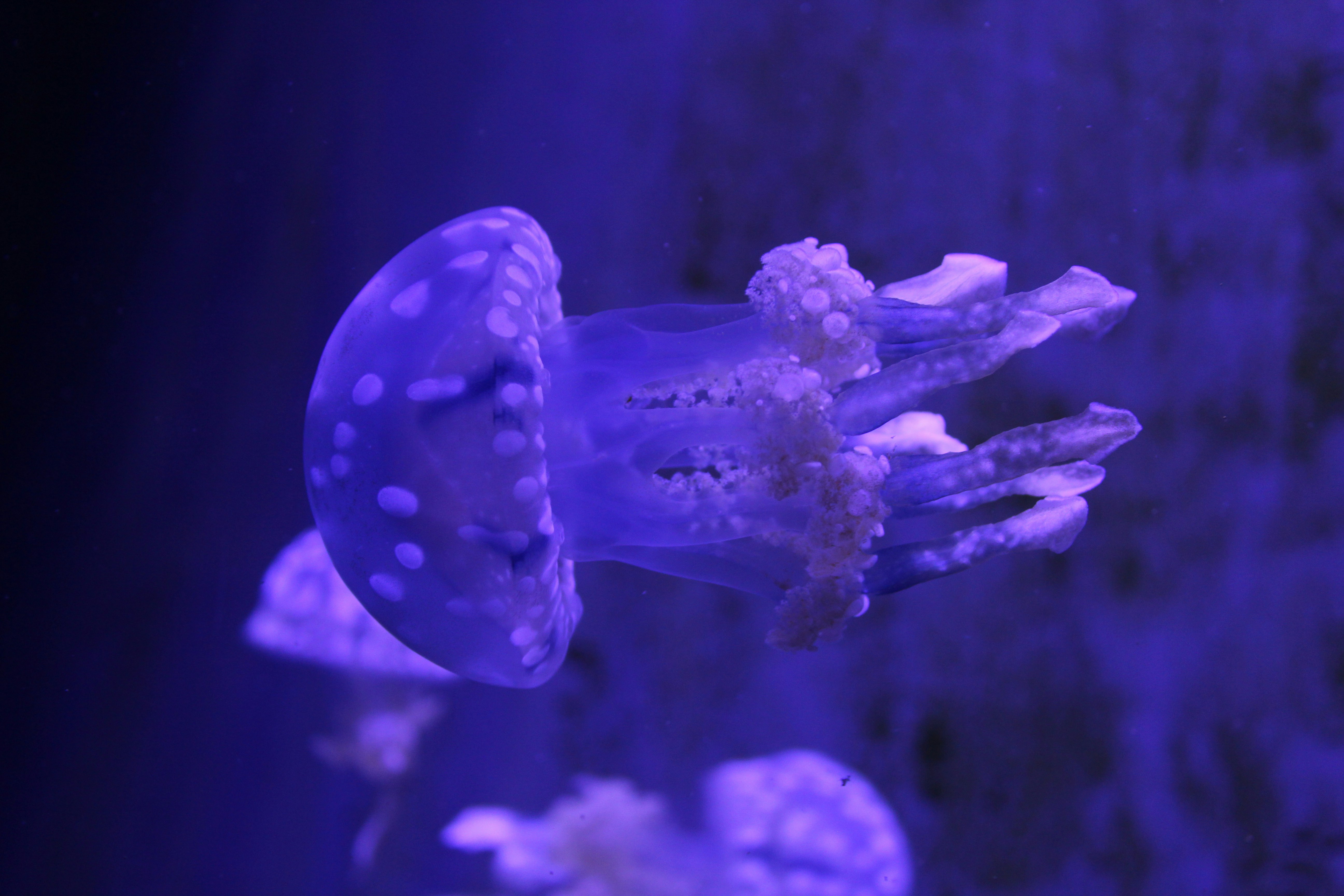 Photo by popedaniela94