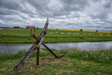 A rustic wooden and metal structure stands on a grassy bank beside a small river. In the distance, a red-roofed house is surrounded by vast green fields where several sheep graze. A strip of bright yellow flowers adds contrast under a cloudy sky.
