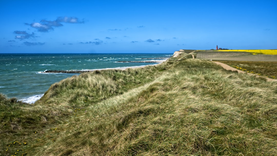 sea under clear blue sky