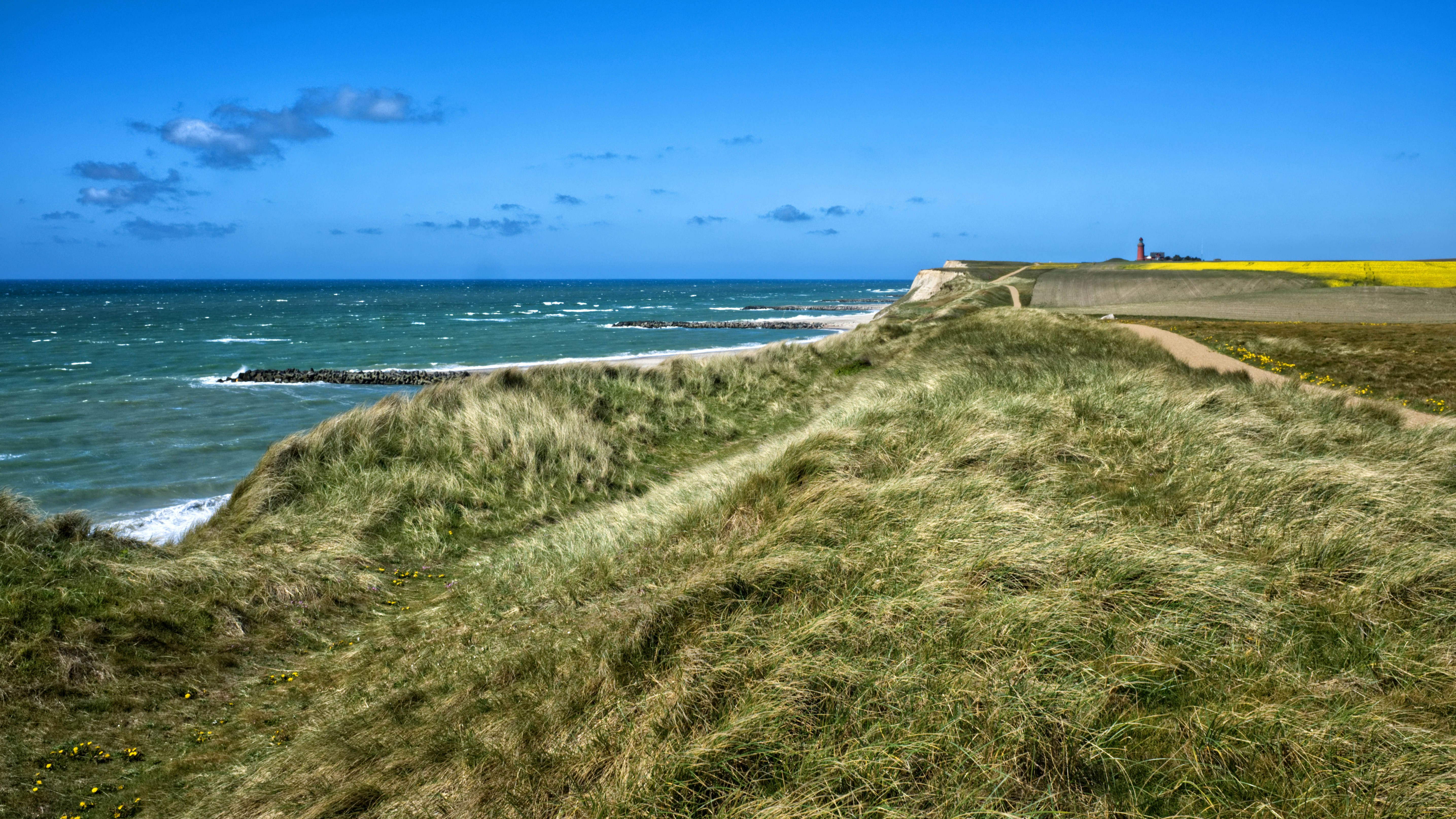 photo-1558342697-d61ba376b3e4?ixid=M3wxMjA3fDB8MXxzZWFyY2h8MTM5fHxjaGF0Z3B0JTIwZnJlZXxlbnwwfHx8fDE3MzcwMzMwNTJ8MA%5Cu0026ixlib=rb-4.0.3