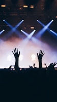 silhouette photography of concert