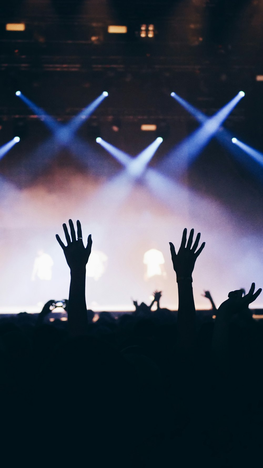 silhouette photography of concert