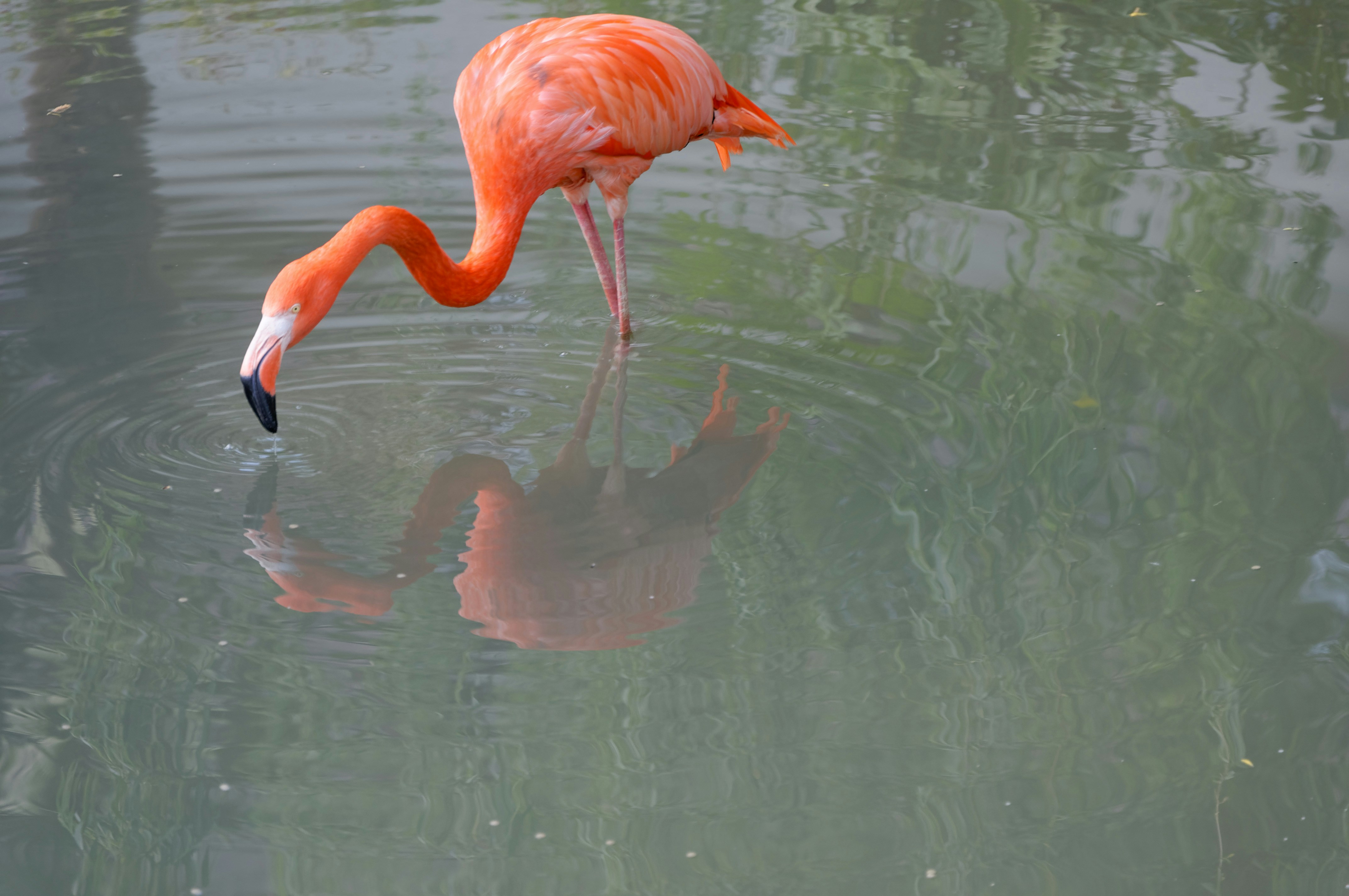 Photo by didier_provost