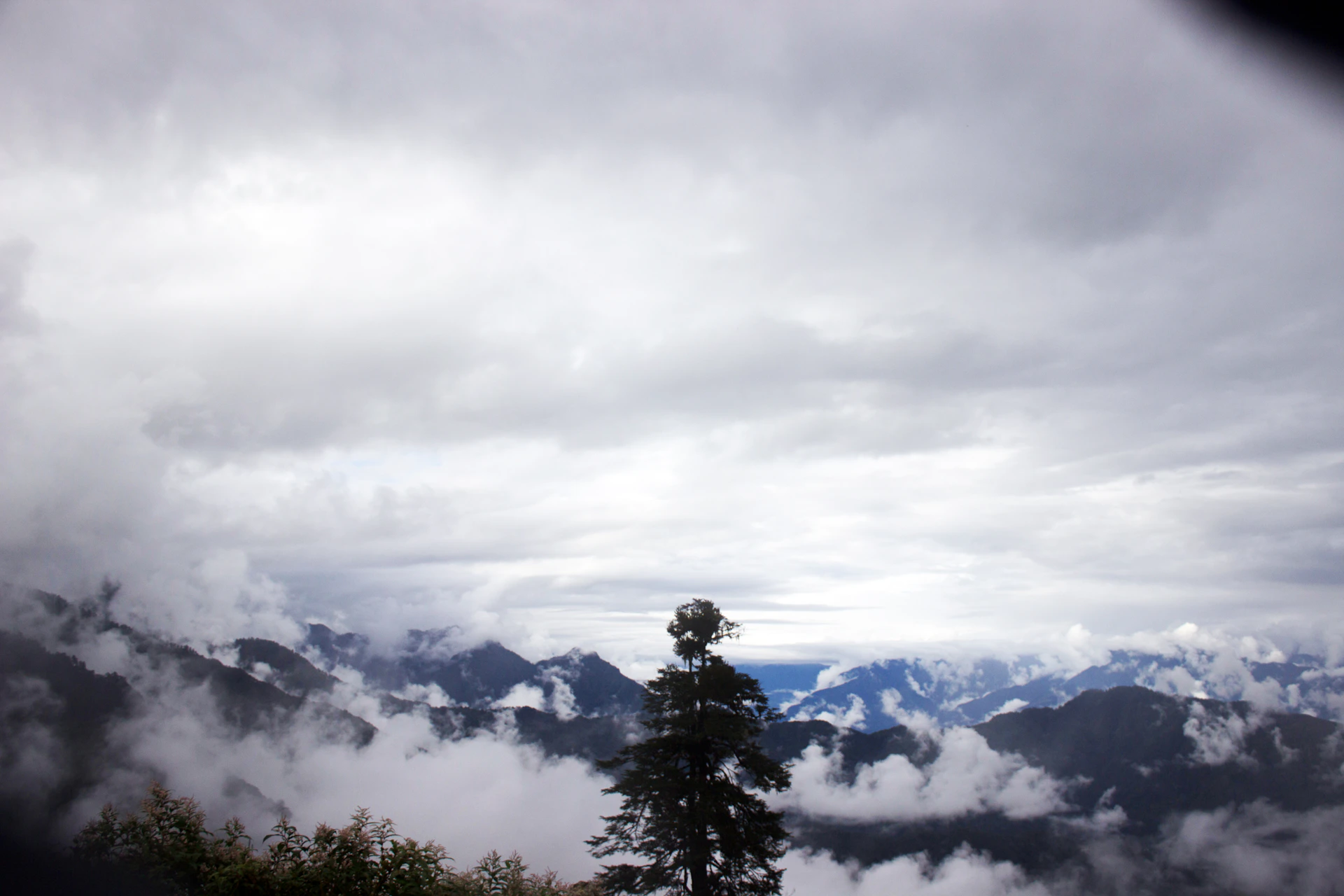 mountain covered with fogs