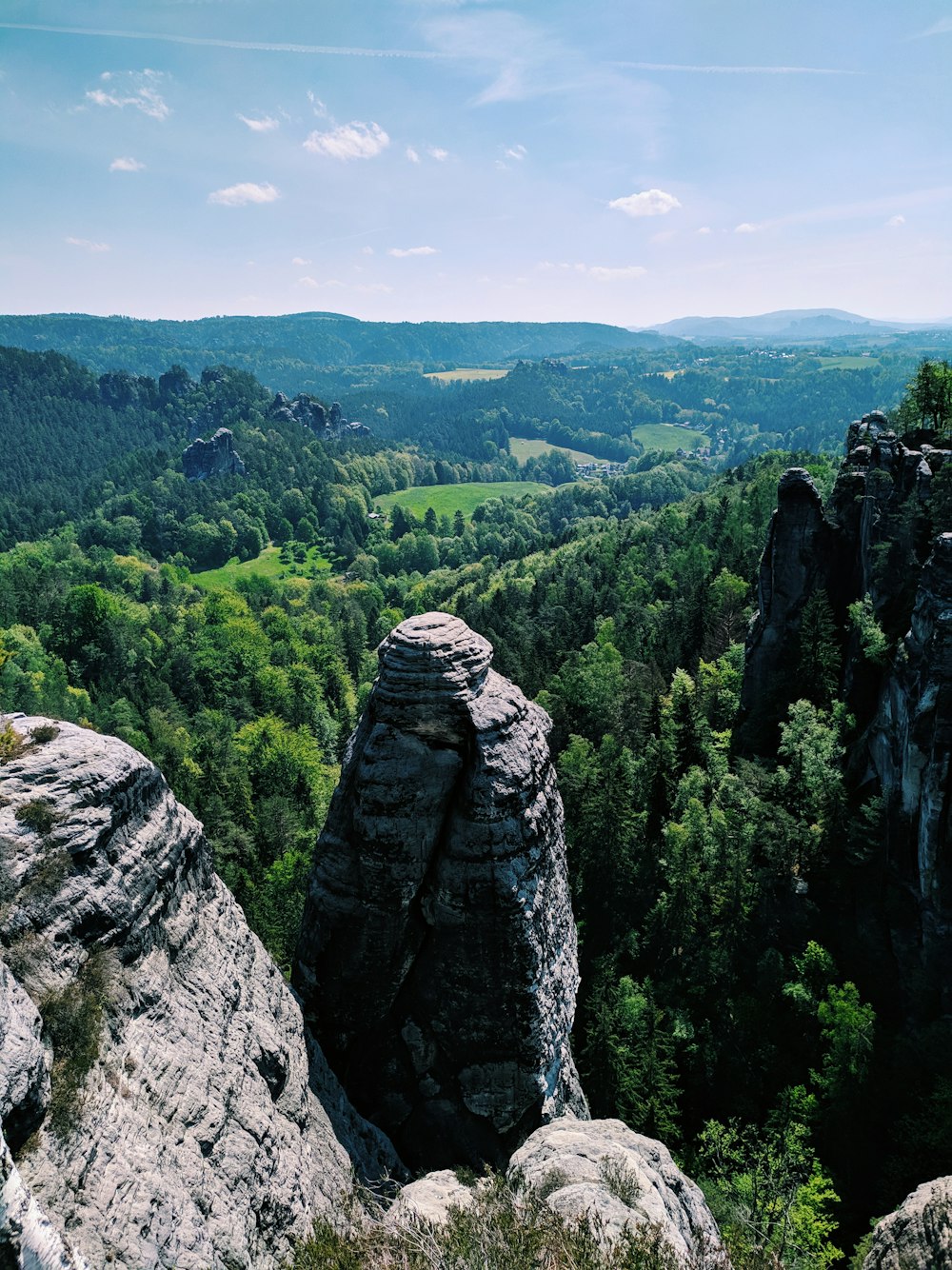 aerial view of cliff and trees during daytime