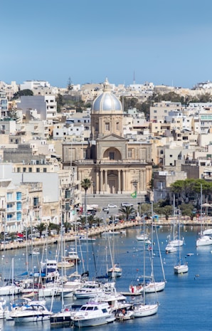 boats moored in dock