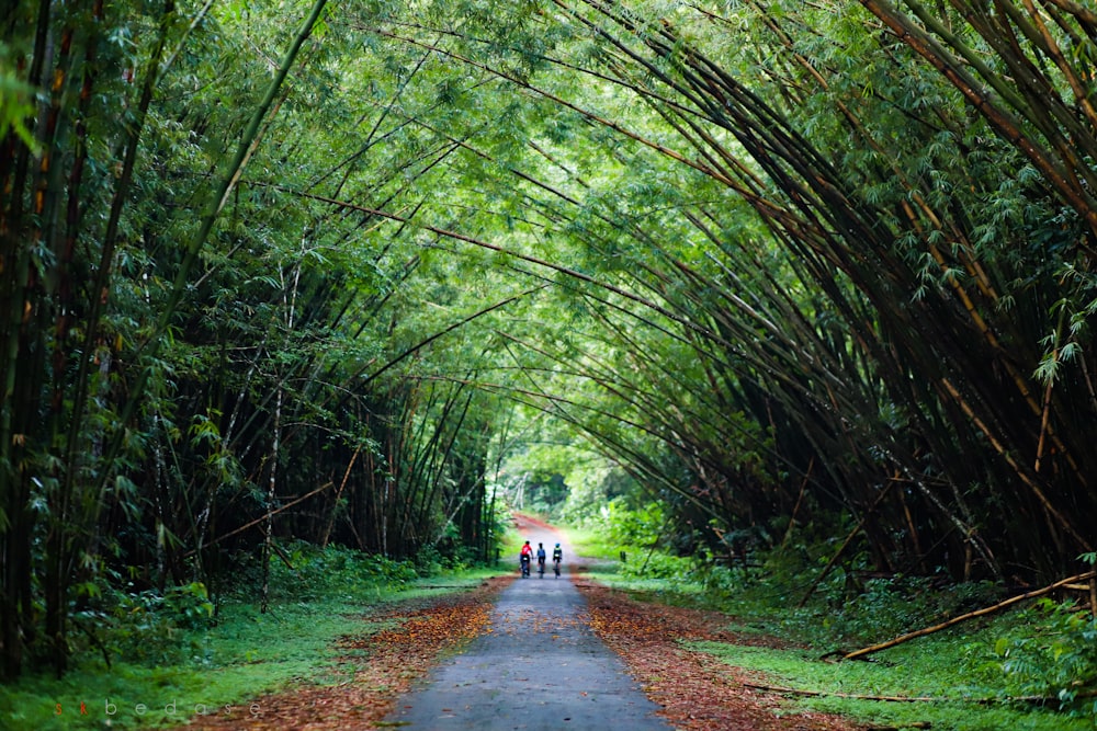 group of people walking on walkway