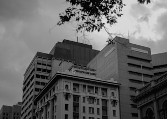 grayscale photography of building