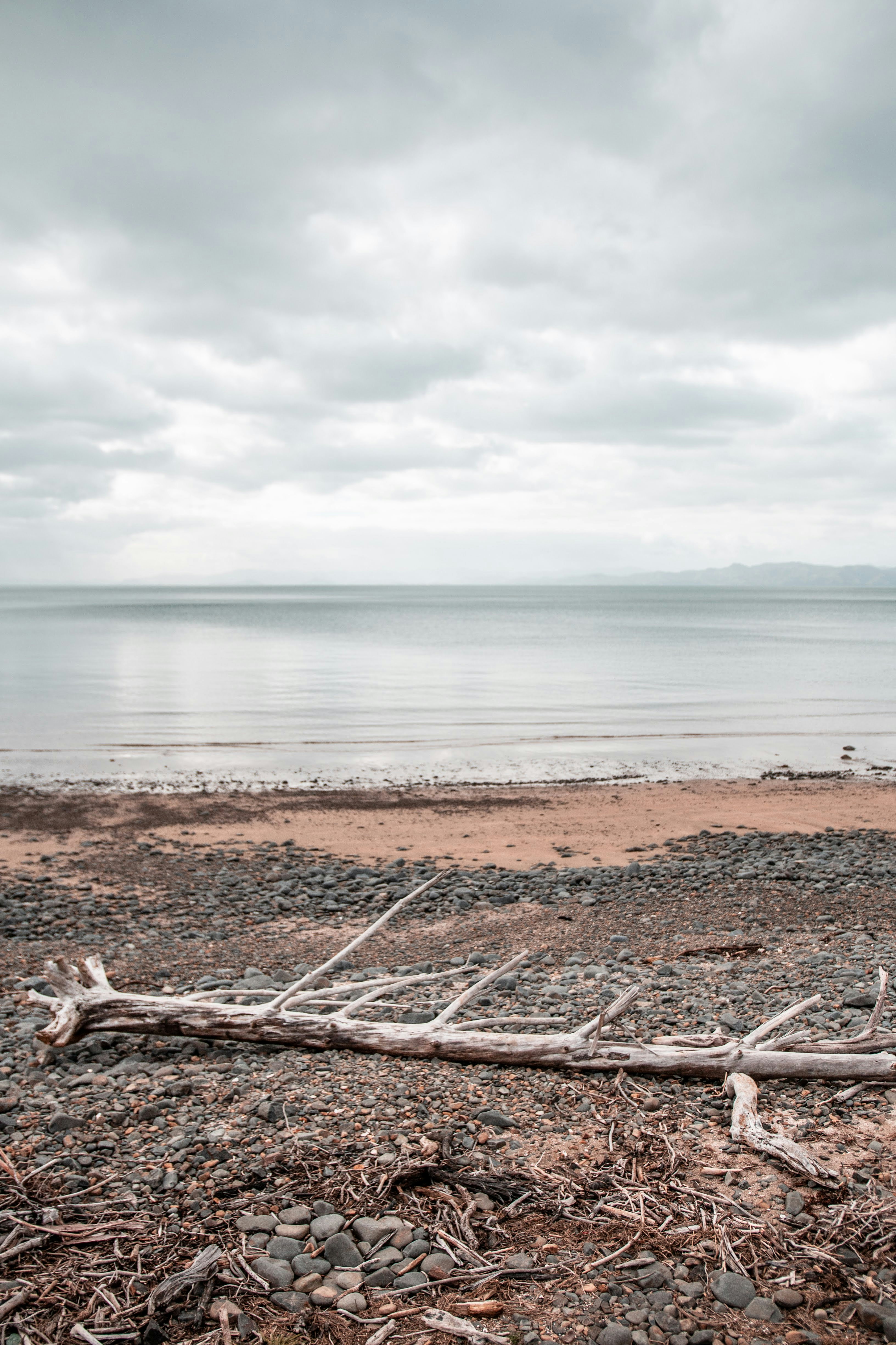 Photo by tristandixon