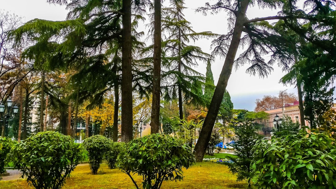 Top 7 Unexpected Destinations Attracting American Expats in 2024… — Top 7 Unexpected Destinations…, photo 3