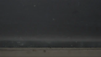 A clean transparent photo area with a faint border for emphasis.