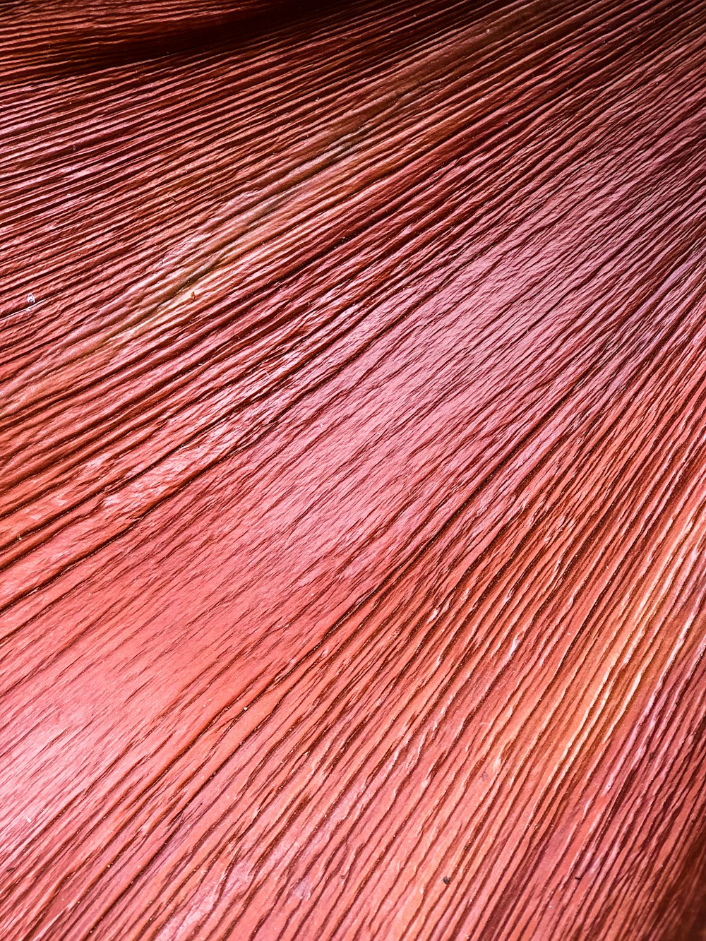 Gros plan d’une texture de cheveux roux