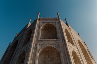 low angle photo of building