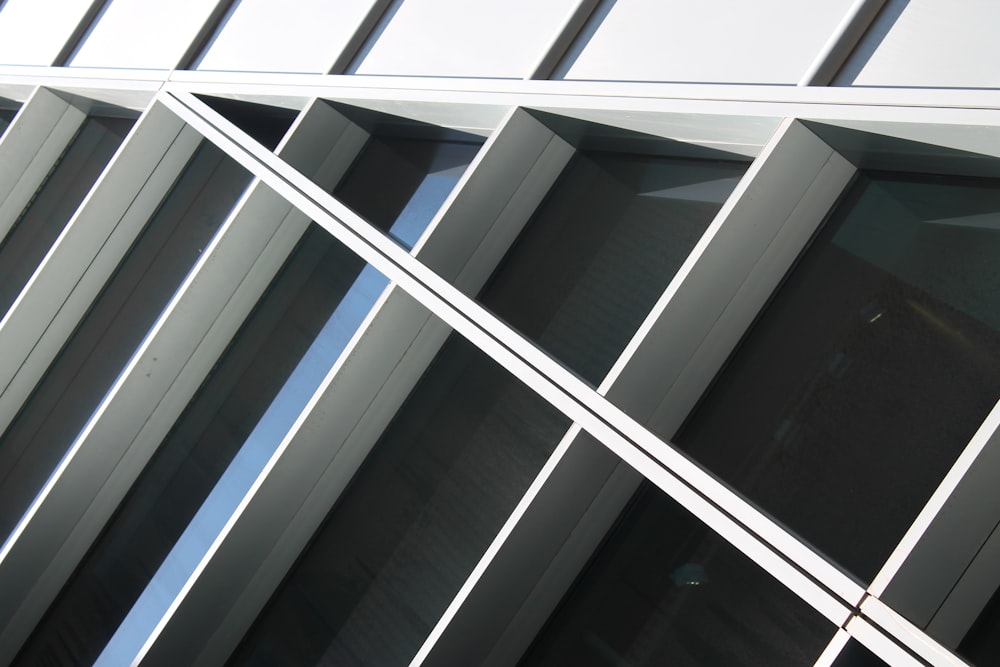 white wooden framed glass walled building