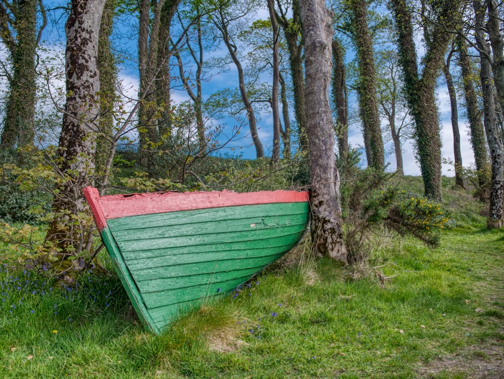 green and red wooden boat surrounded with tall and green trees