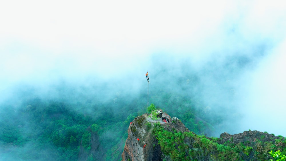 aerial photo of mountain overlooking forest