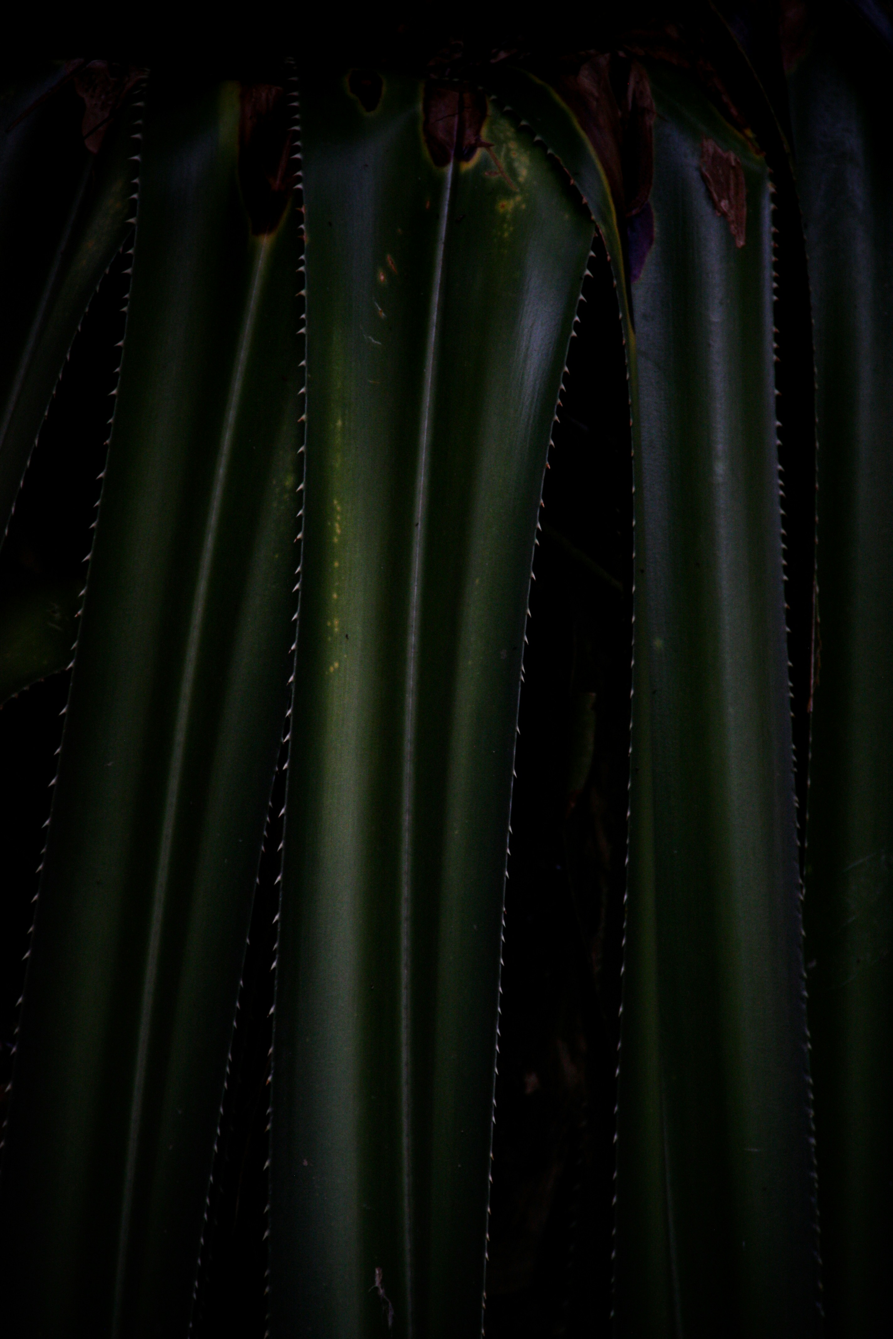 Photo by theverticalstory