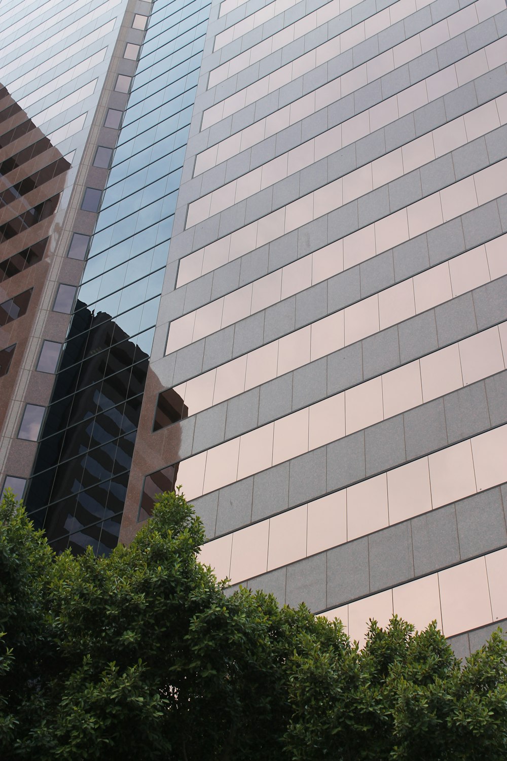 low angle photo of curtain glass wall building
