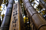 A close-up of several bamboo stalks, one of which has Japanese text inscribed on it. The bamboo appears tall and sturdy, with the background slightly blurred, creating a contrasting depth of field effect. The lighting highlights the texture and natural colors of the bamboo.