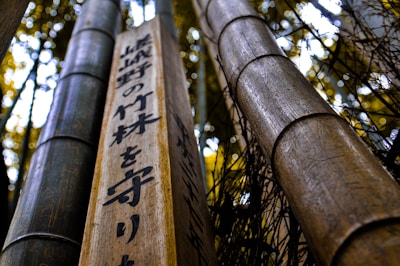 A close-up of several bamboo stalks, one of which has Japanese text inscribed on it. The bamboo appears tall and sturdy, with the background slightly blurred, creating a contrasting depth of field effect. The lighting highlights the texture and natural colors of the bamboo.