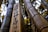A close-up of several bamboo stalks, one of which has Japanese text inscribed on it. The bamboo appears tall and sturdy, with the background slightly blurred, creating a contrasting depth of field effect. The lighting highlights the texture and natural colors of the bamboo.