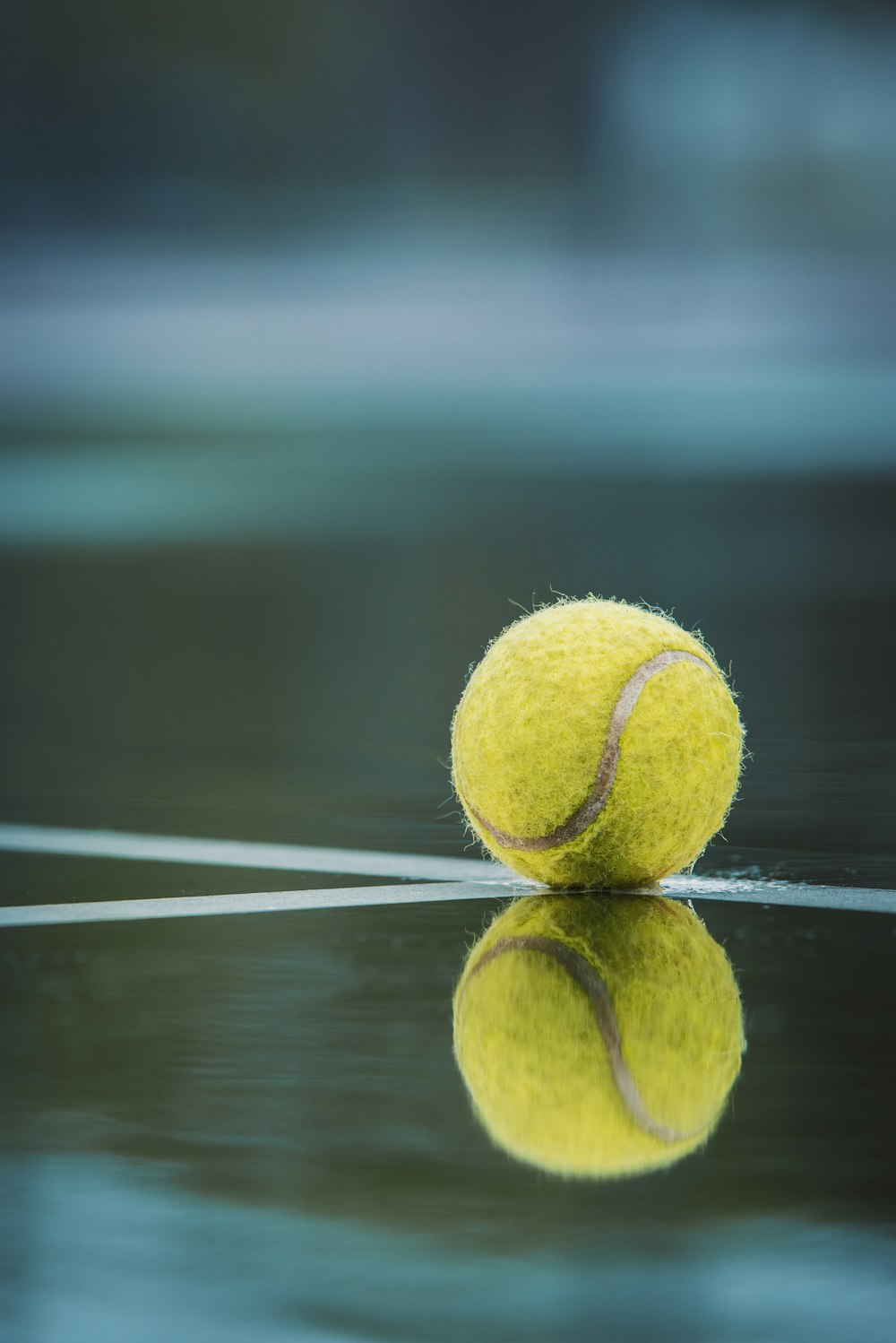 테니스 코트 위에 앉아 있는 테니스 공