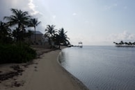 A tranquil beachfront scene with calm waters and a sandy shore lined with palm trees. Modern houses are visible among the trees, with a small wooden pier extending into the water. The sky is partly cloudy, with sunlight creating soft reflections on the water.