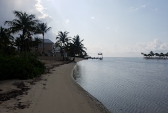 A tranquil beachfront scene with calm waters and a sandy shore lined with palm trees. Modern houses are visible among the trees, with a small wooden pier extending into the water. The sky is partly cloudy, with sunlight creating soft reflections on the water.