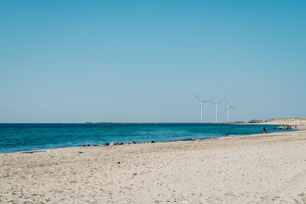 bord de mer pendant la journée