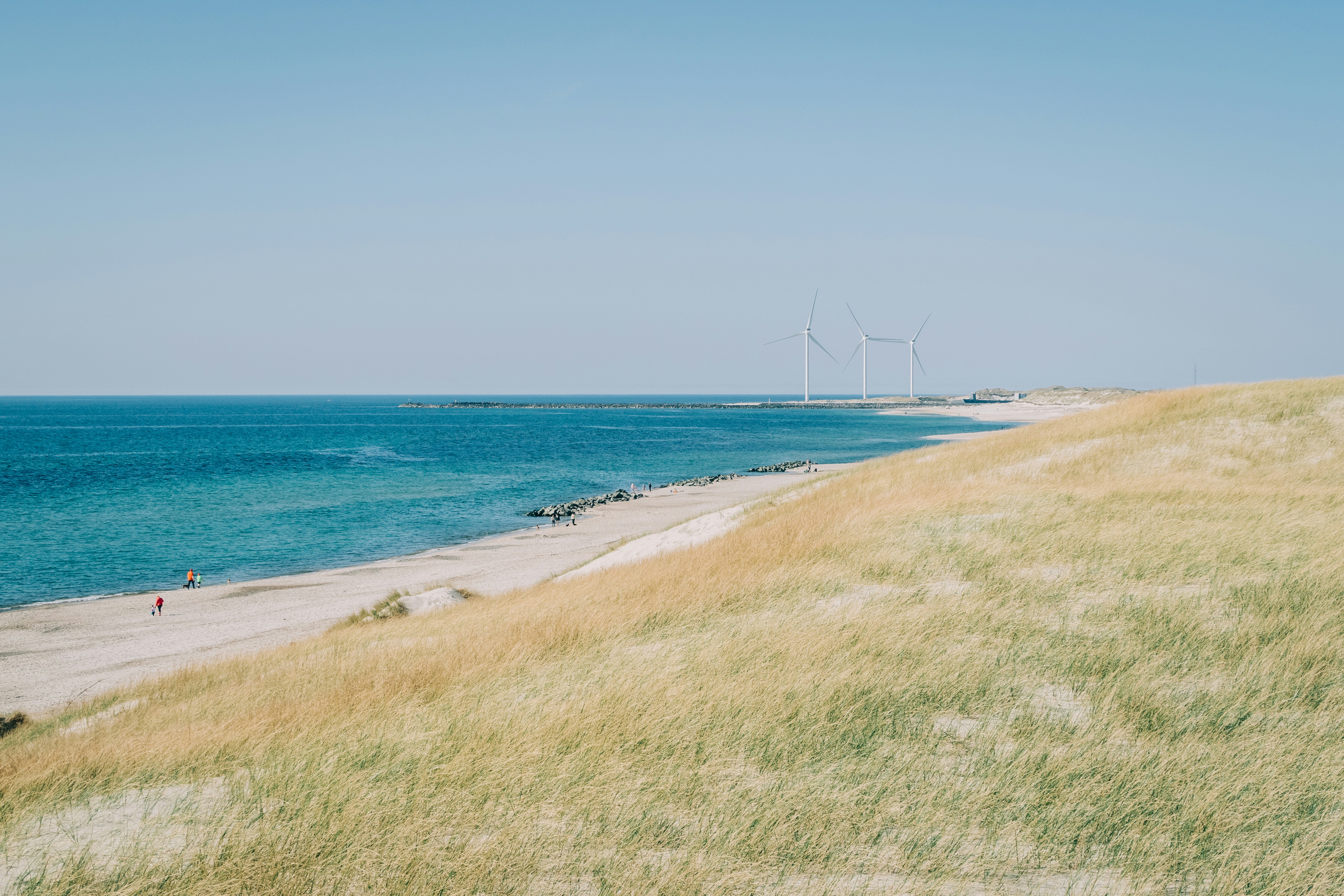 Graswiese in der Nähe von Seashoer