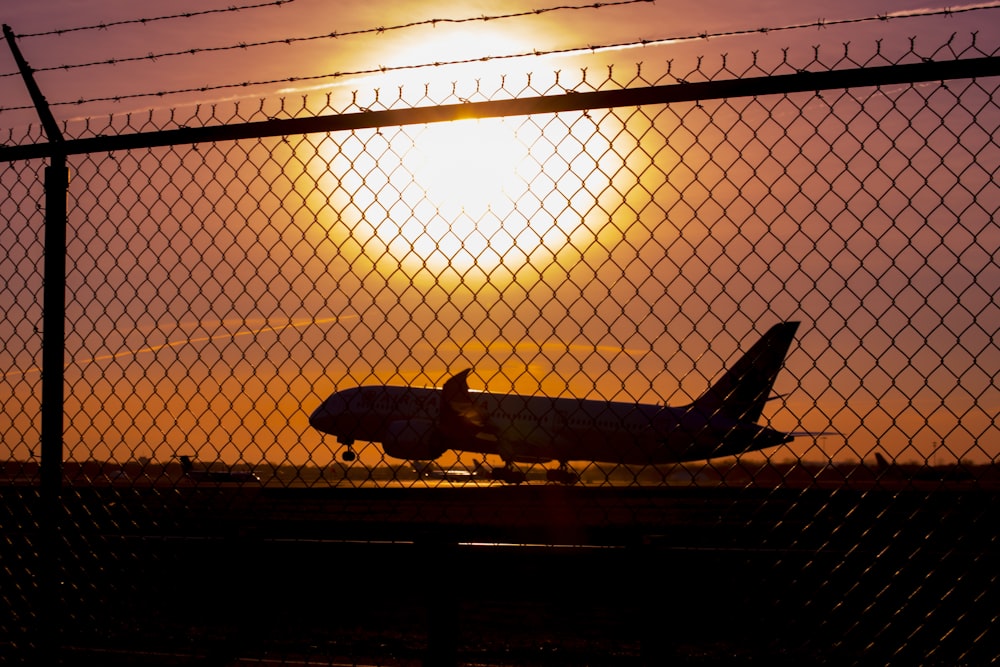 airplane during golden hour