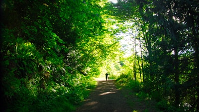 Claudia Porcher walking thoughtfully along a forest path surrounded by sage green foliage.